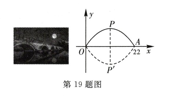 第19题图