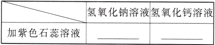 加紫色石蕊溶液