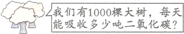 能吸收多少吨二氧化碳