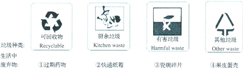 HammfulwasteOtherwaste生活中废弃物①过期药物②快递纸箱③瓷碗碎片④果皮蛋壳