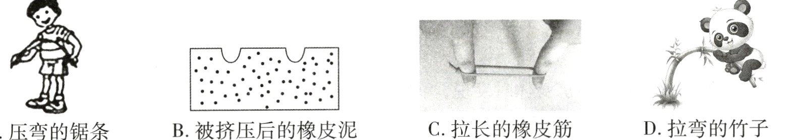 D拉弯的竹子C拉长的橡皮筋B被挤压后的橡皮泥A压弯的锯条