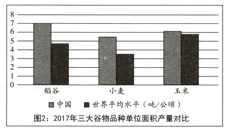 图22017年三大谷物品种单位面积产量对比
