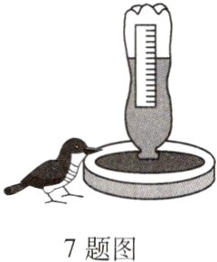 7题图
