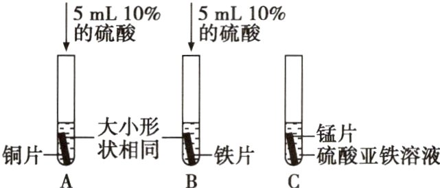 状相同铜片铁片硫酸亚铁溶液