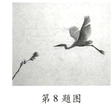 第8题图
