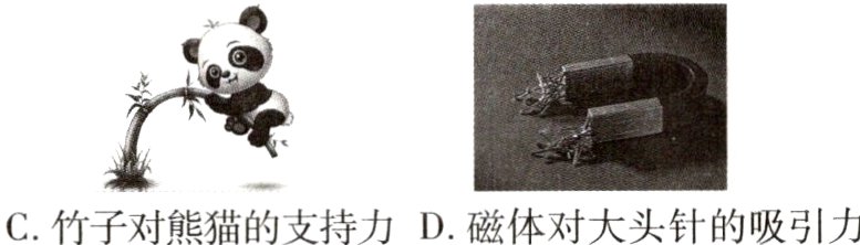 C竹子对熊猫的支持力D磁体对大头针的吸引力