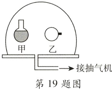 第19题图