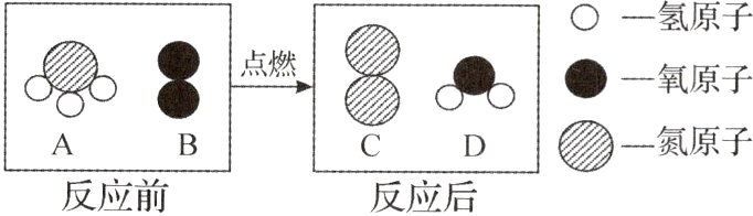 D氮原子反应前反应后