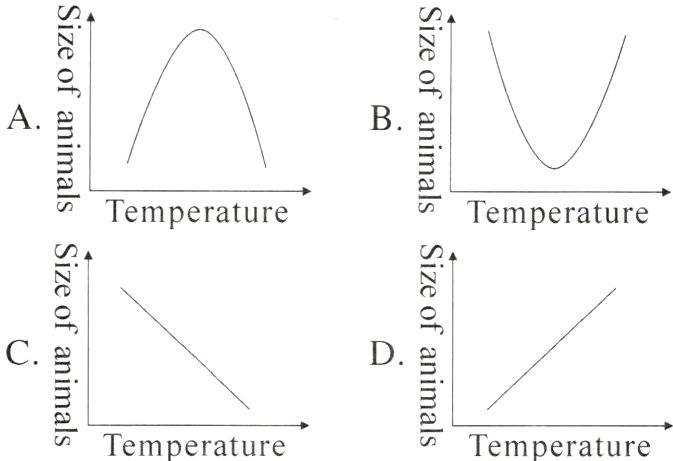 三三TemperatureTemperrature
