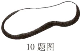 10题图
