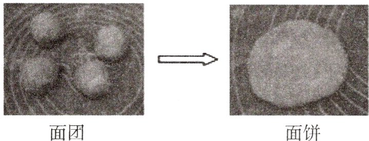 面团面饼