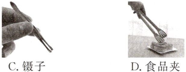 C镊子D食品夹