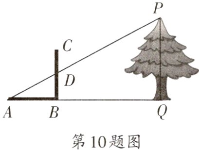 第10题图