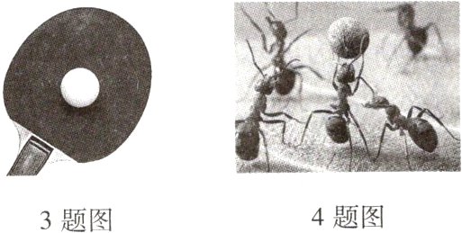 4题图3题图