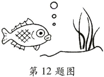 第12题图