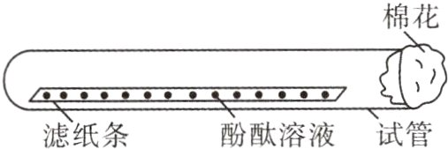 酚酞溶液试管滤纸条