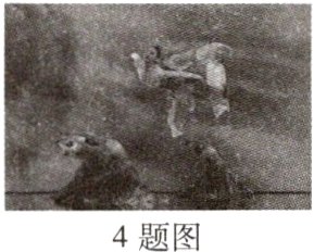 4题图