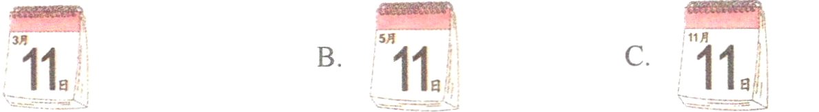 11日11日