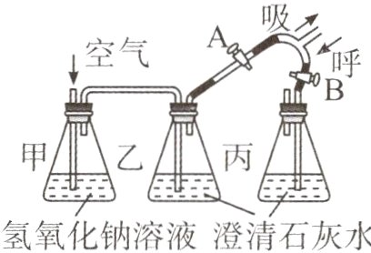 氢氧化钠溶液澄清石灰水
