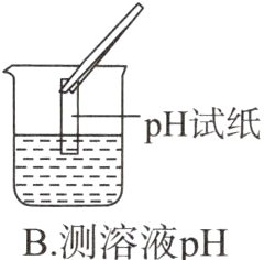B测溶液pH