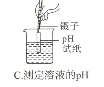 C测定溶液的pH