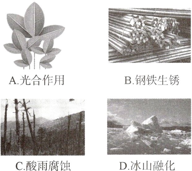 D冰山融化C酸雨腐蚀