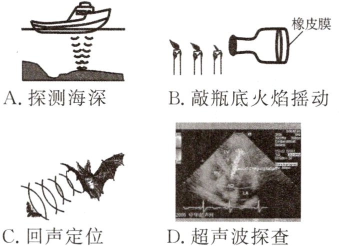 D超声波探查C回声定位