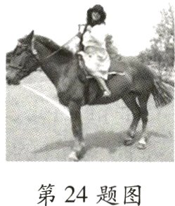 第24题图