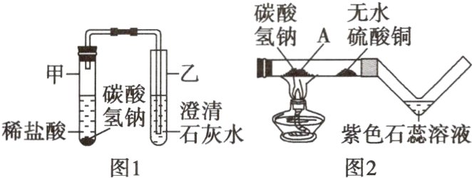 紫色石蕊溶液图1图2