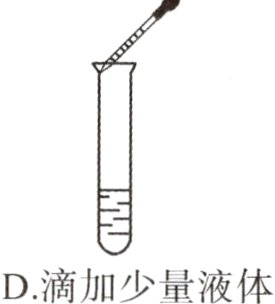 C收集二氧化碳气体D滴加少量液体