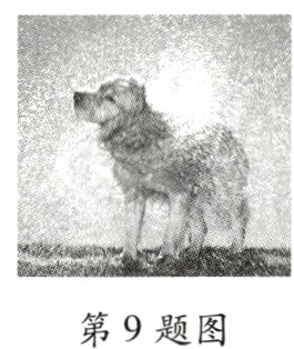 第9题图