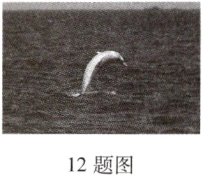 12题图