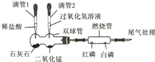 石灰石二氧化锰红磷白磷