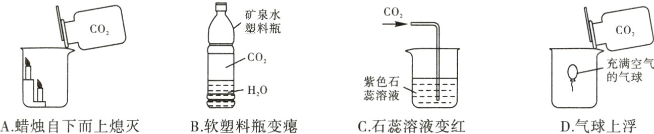 B软塑料瓶变瘪A蜡烛自下而上熄灭C石蕊溶液变红D气球上浮