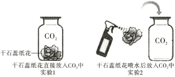 干石纸花畴水后放人CO中干石蕊纸花直接放入CO中