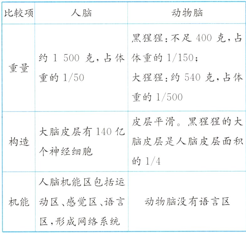 区形成网络系统
