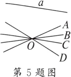 第5题图