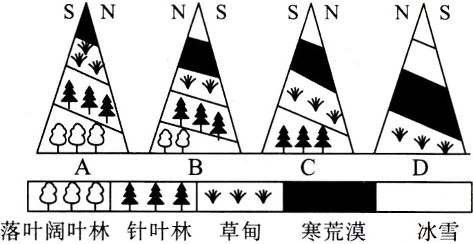 落叶阔叶林针叶林草甸寒荒漠冰雪