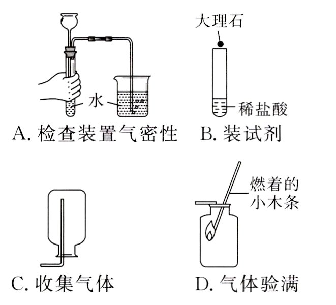 C收集气体D气体验满