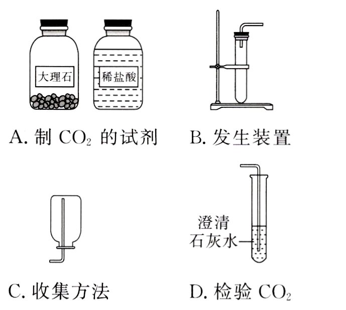 C收集方法D检验CO2