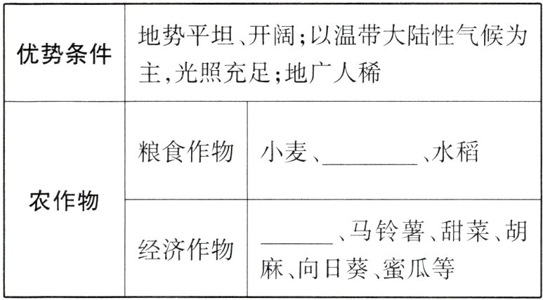 麻向日葵蜜瓜等