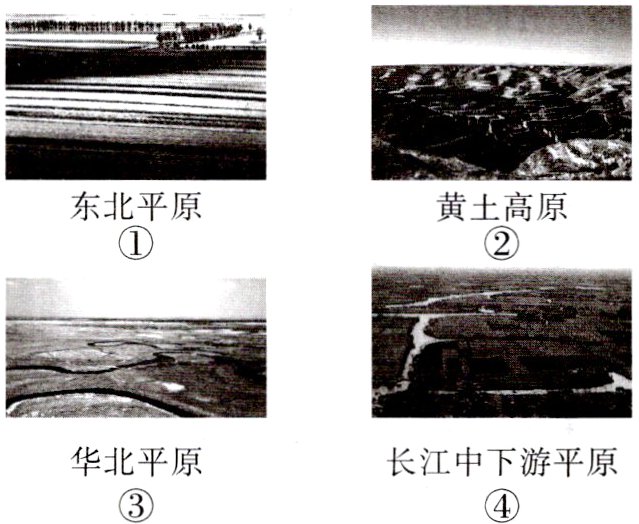 华北平原长江中下游平原