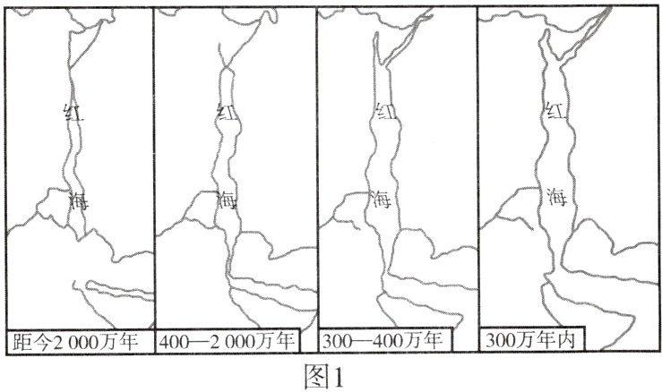 距今2000万年4002000万年300万年内图1