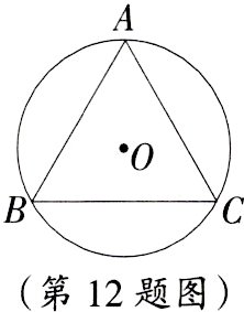 第12题图
