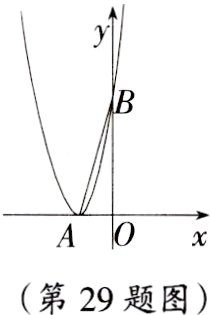 第29题图