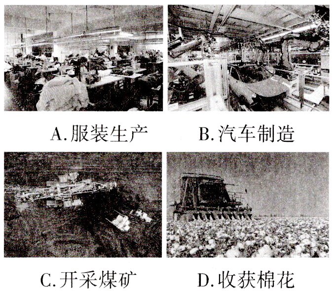 C开采煤矿D收获棉花