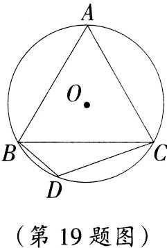 第19题图