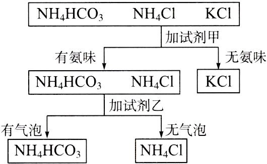 有气泡无气泡NHHCONHC1