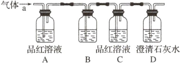 品红溶液品红溶液澄清石灰水