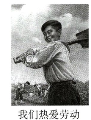 我们热爱劳动